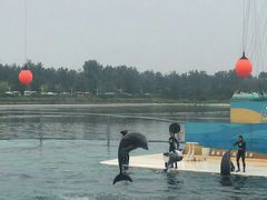 -秦皇岛乐岛海洋王国