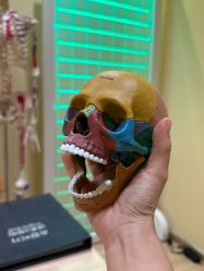 -小颜秘家·韩国整骨