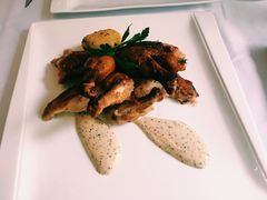 -蝶舍·MAISON PAPILLON