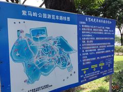 -紫马岭公园