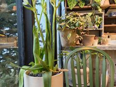 -自由生长植物工作室(深港花卉中心店)