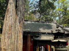 -青岛崂山太清宫