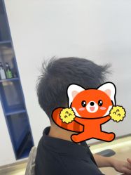 -天使之手