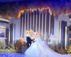 -南京宝娜嫁衣婚纱礼服馆(中央路店)