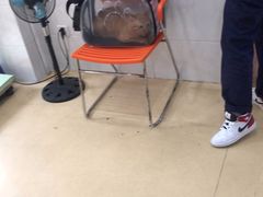 -荔康动物医院(康王北路店)