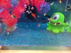 -烟台海昌鲸鲨海洋公园