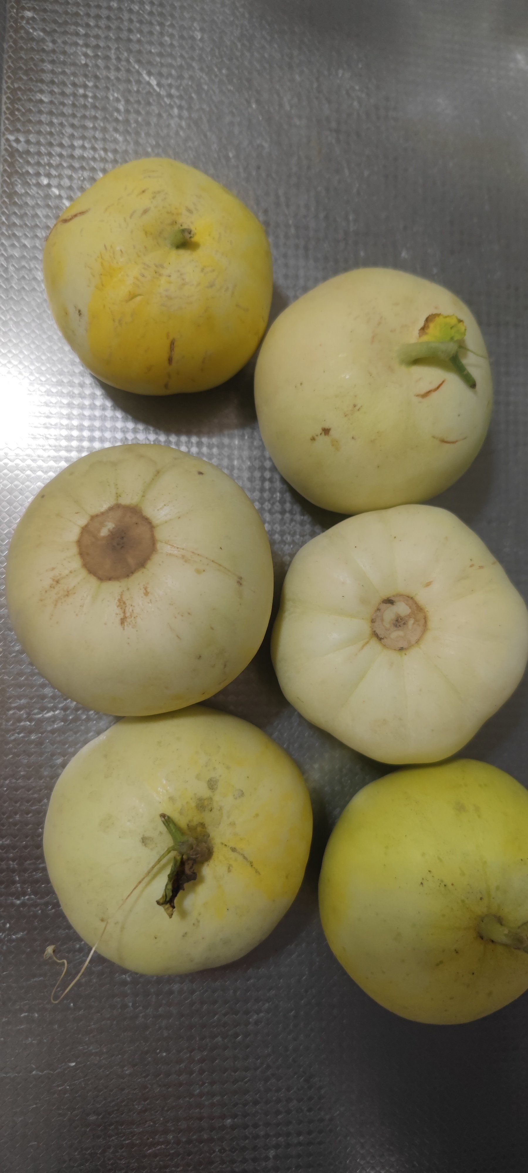 这个小香瓜真心推荐