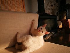 -凡烟外慢生活体验馆