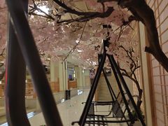 -极乐汇汗蒸会馆(杭州店)