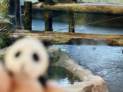 -上海野生动物园