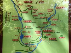 -石台牯牛降景区
