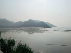-北岐滩涂