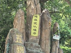 -常州淹城野生动物世界