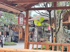 -青城甲(青城山店)