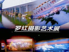 -罗红摄影艺术馆