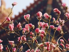 -东华门大街小区