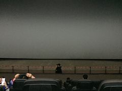 -天幕新彩云国际影城(激光巨幕店)