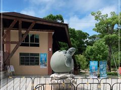 -广东惠东海龟国家级自然保护区
