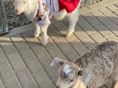 -太阳岛旅游度假区