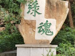 -北京西山国家森林公园