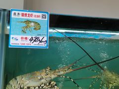 -南海渔家•海鲜•正宗海南菜(海棠湾店)