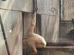 -昆明动物园