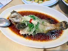 清蒸老虎斑-益健美食大广场(北岭店)