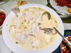 鲜椒豆花鲈鱼-川味堂·四川豆花(八卦岭店)
