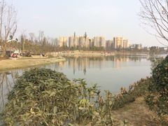 -白鹭湾湿地公园