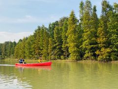 -上海海湾国家森林公园