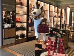 -COACH蔻驰(百联奥特莱斯广场店)