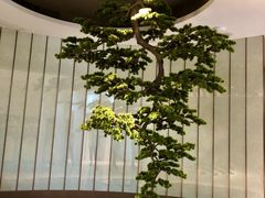 -固元堂(摩方分院)