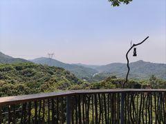 -广州市帽峰山景区