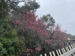 -福道