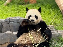 -秦皇岛野生动物园