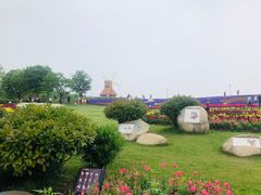 -杭州湾海上花田景区