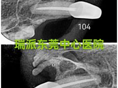 -东莞宠友24H宠物中心医院·转诊夜诊·异宠(新河北路院)