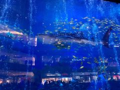 -成都浩海立方海洋公园