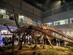 -自贡恐龙博物馆