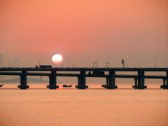 -宝安西湾红树林湿地公园