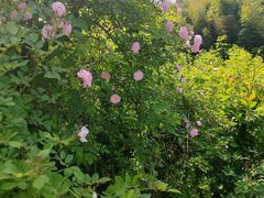 -南山风景名胜区