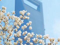 -陆家嘴中心绿地