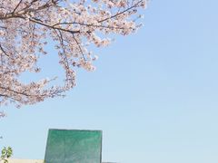 -龙美术馆(西岸馆)