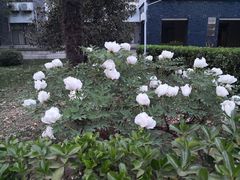 -陕西师范大学(雁塔校区)