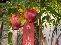 -四喜小胖·北京涮肉(五道营店)