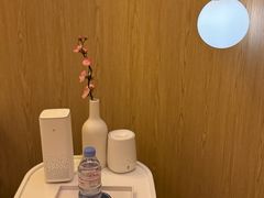 -耳道精致采耳(运达汇店)