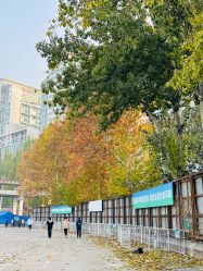 -Oasis Beauty水磨坊科技美肤中心