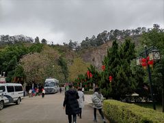 -南沙天后宫景区