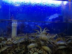 水产区-青石桥市场北1-27号