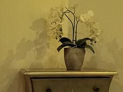 -汤臣Luck SPA按摩采耳(海派理疗公馆)